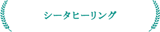 tokyo_setagaya_shimokitszawa_counseling_therapy_coaching157